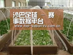 环境展示五