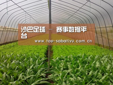种植基地四
