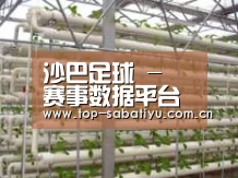 环境展示六