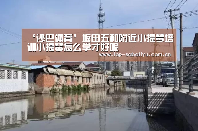 沙巴体育