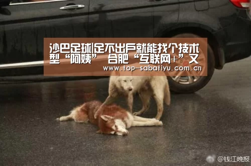 沙巴足球